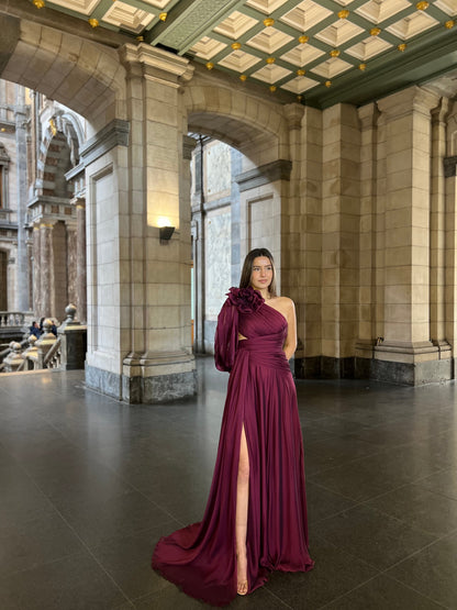 The Hira dress rr