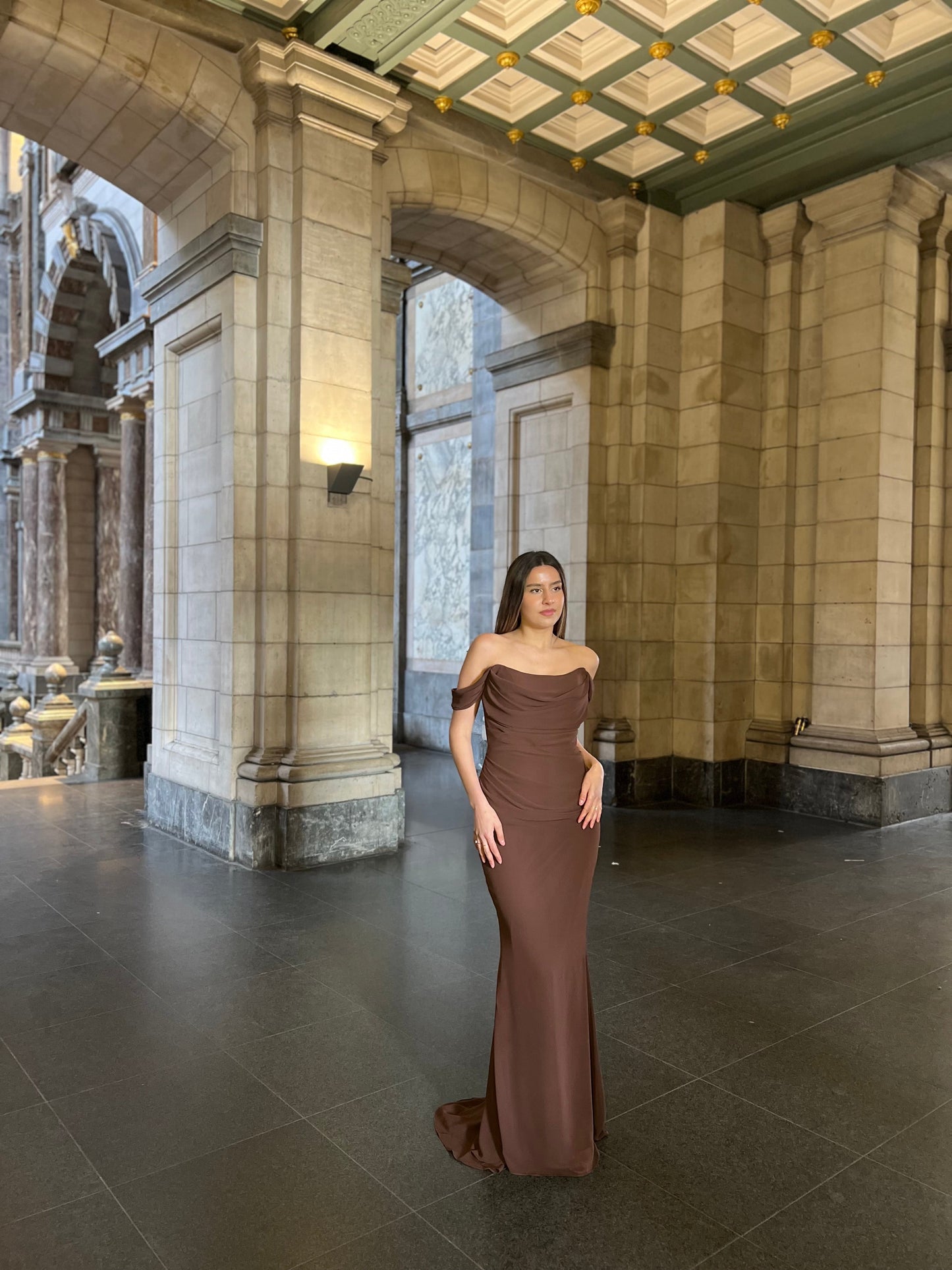 The Meyra dress brown