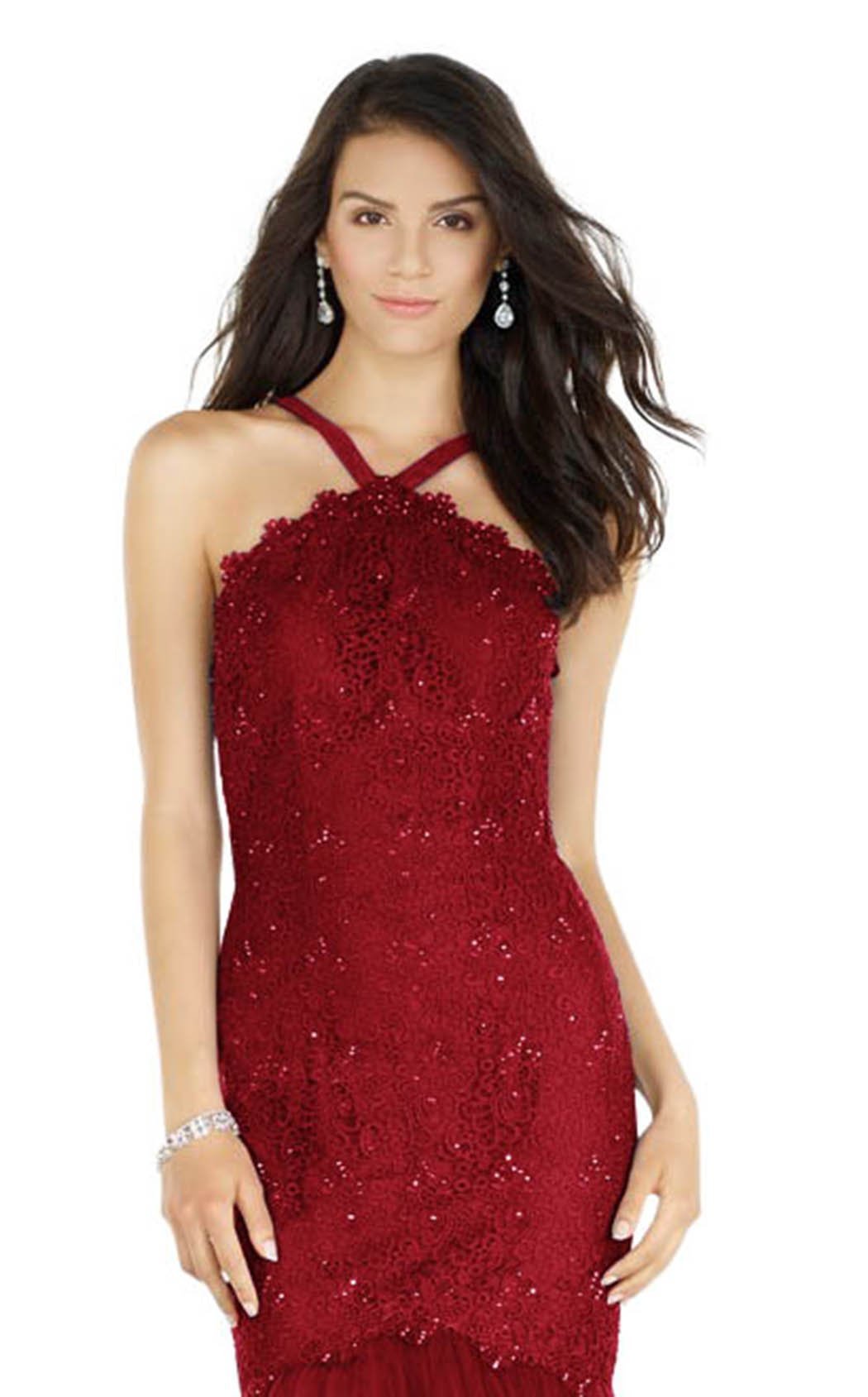 Alyce 1190 Dress