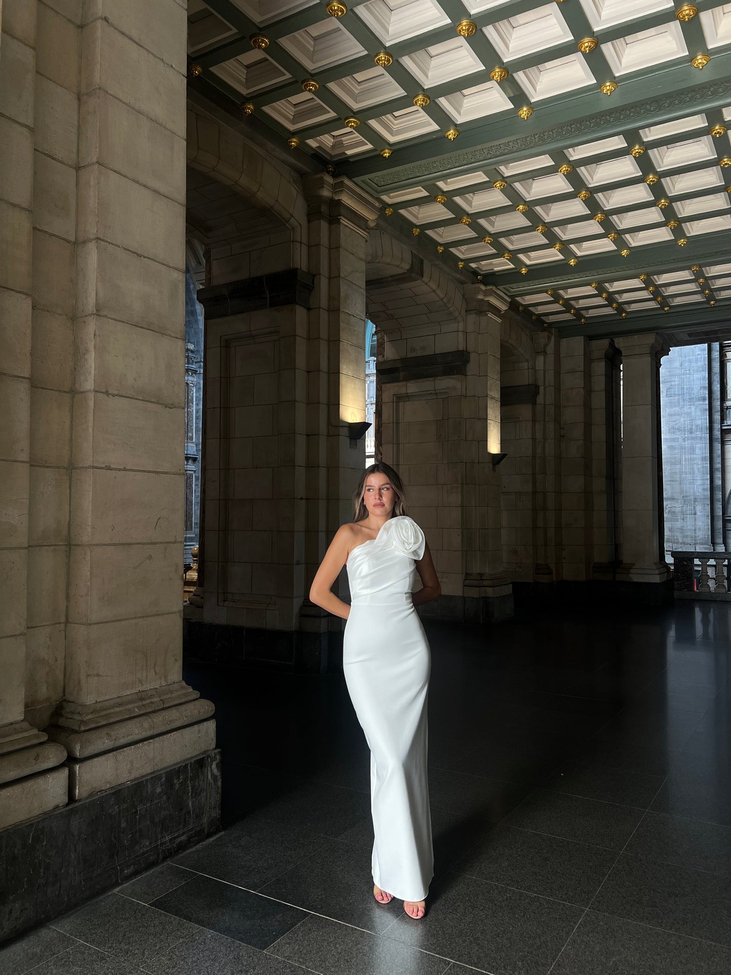 The Rozerin dress