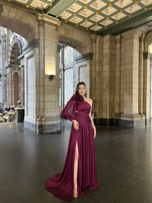 The Hira dress rr