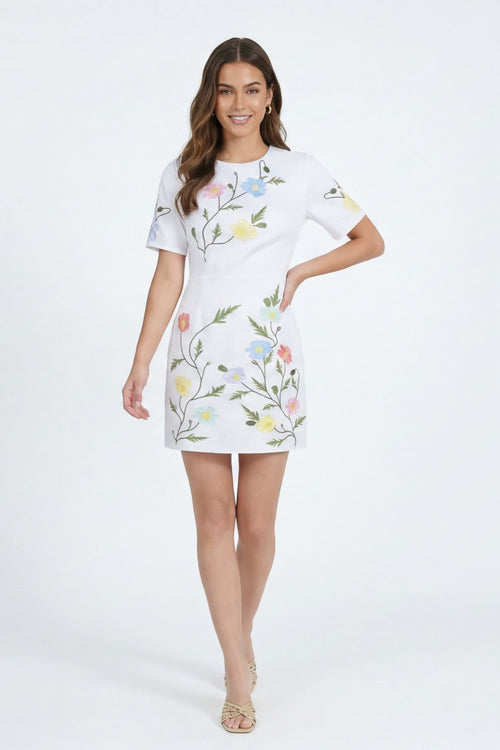 JOE DRESS