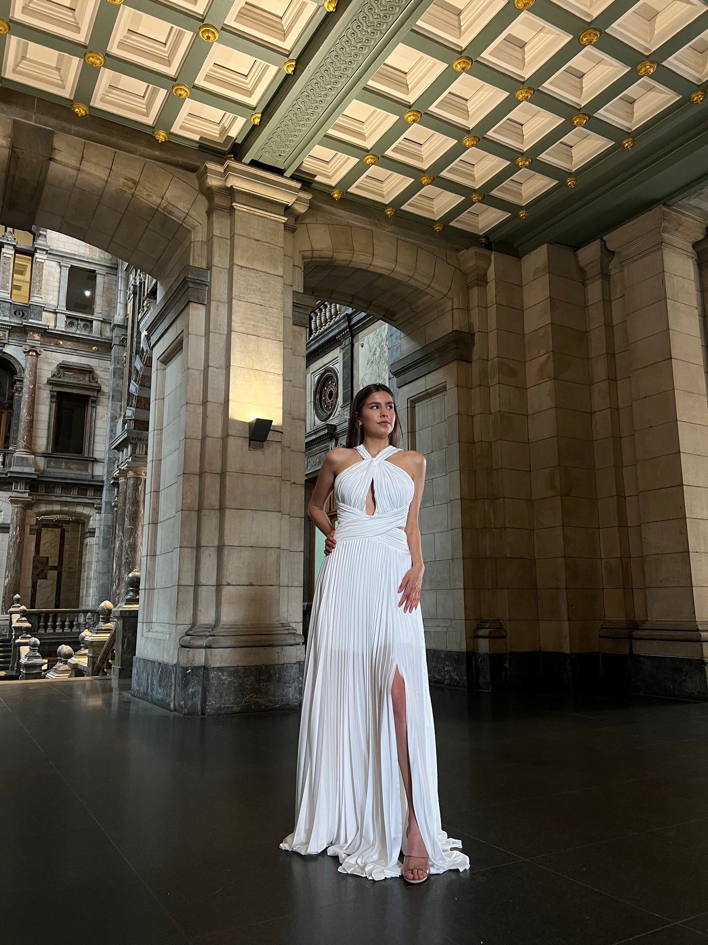 The Isil dress
